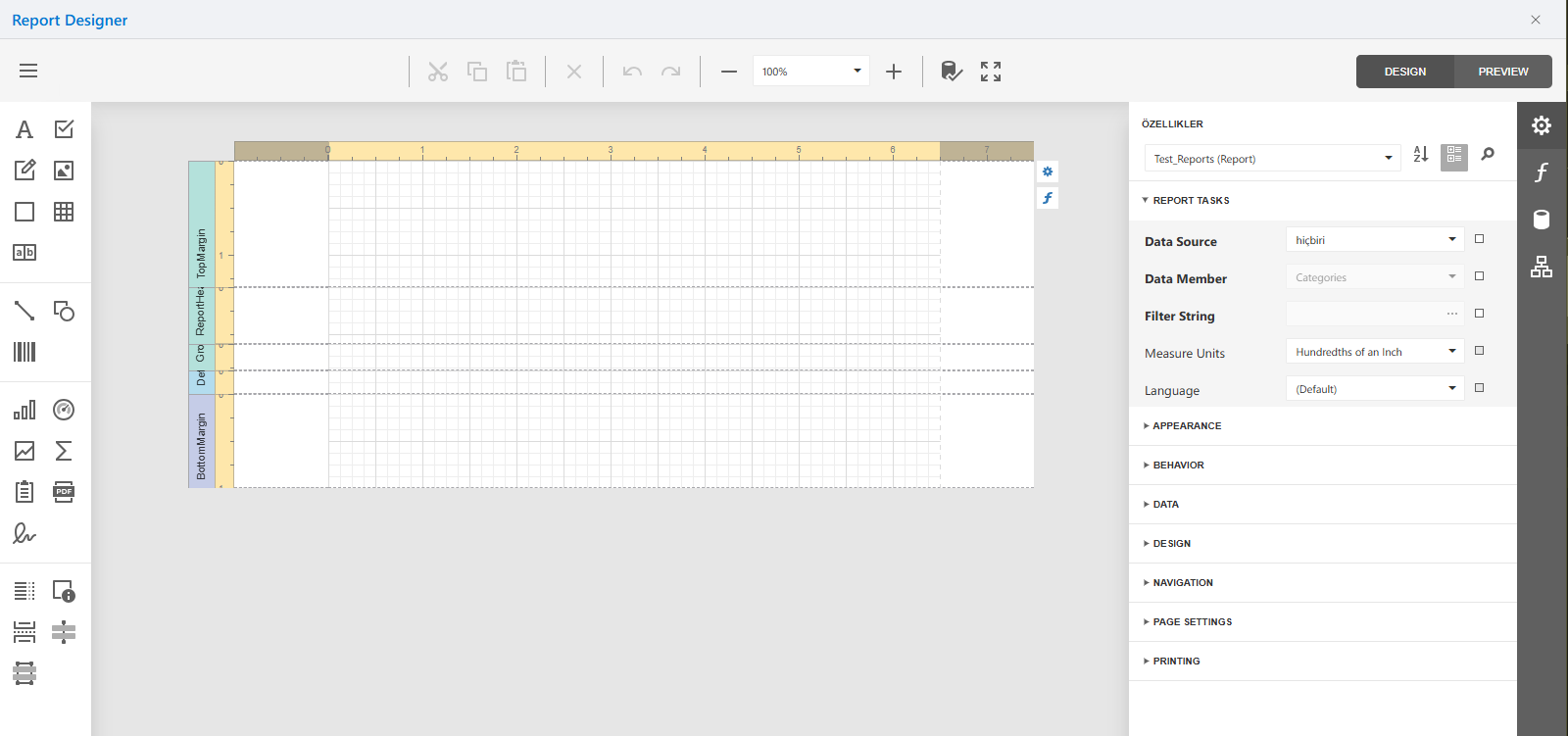 Report Designer Interface