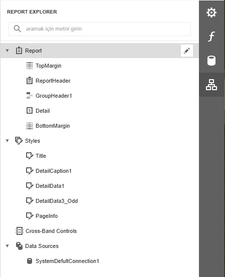 Report Explorer