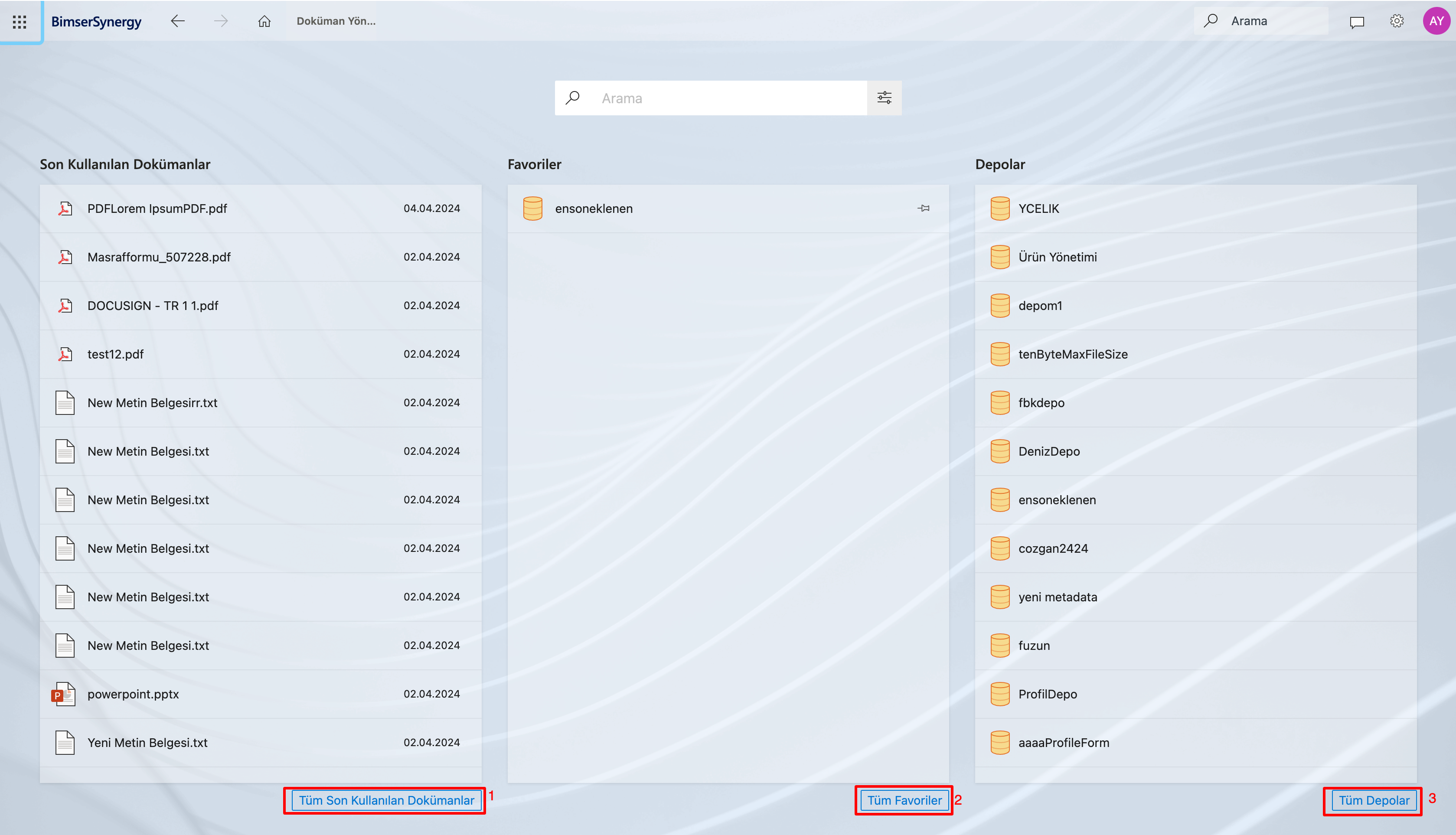 Opening the Document Explorer via the Document Management Home Page