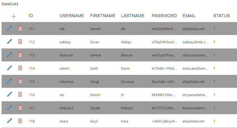 DataGrid